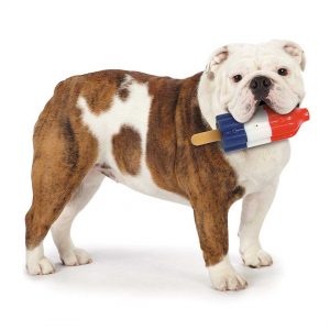 cool pup mini rocket pop hydrating dog chew toy